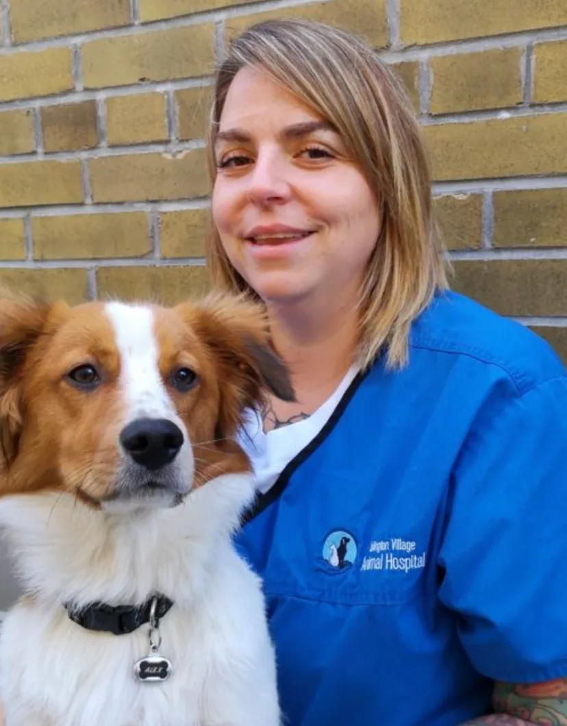 Phaedra with a Brown/White Dog